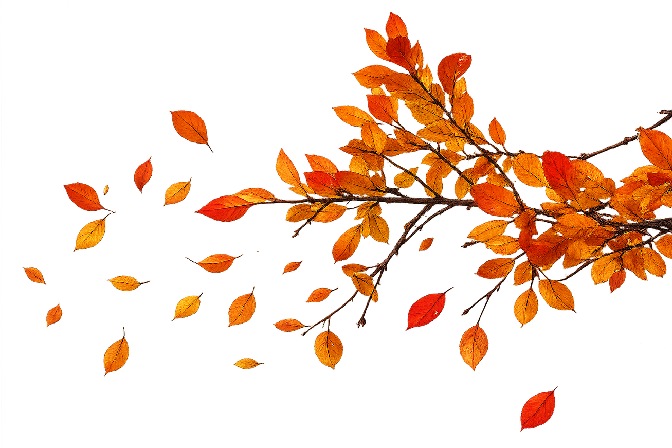 Tree branch